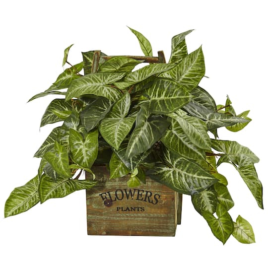 20" Nephthytis Artificial Plant in Rustic Wood Box Planter By Nearly Natural in Green | 20 in | Michaels®